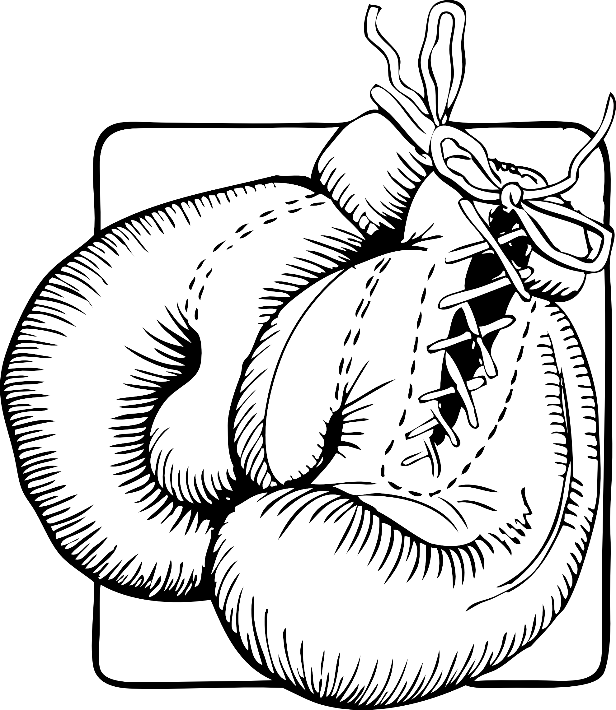 Coloriage gants de boxe